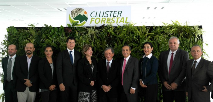 cluster_forestal_1